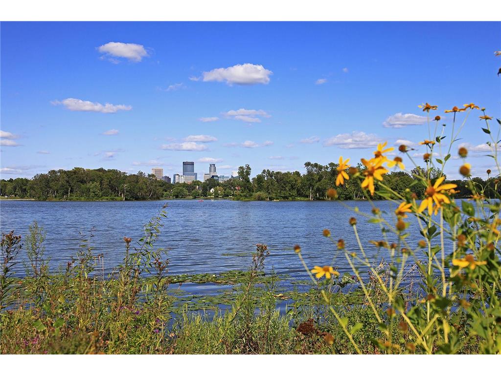 2728 Dean Parkway Minneapolis MN 55416 7032534 image46