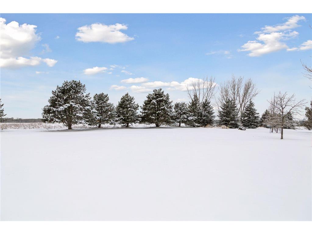 2728 Headland Court SW Rochester Twp MN 55902 7002600 image86