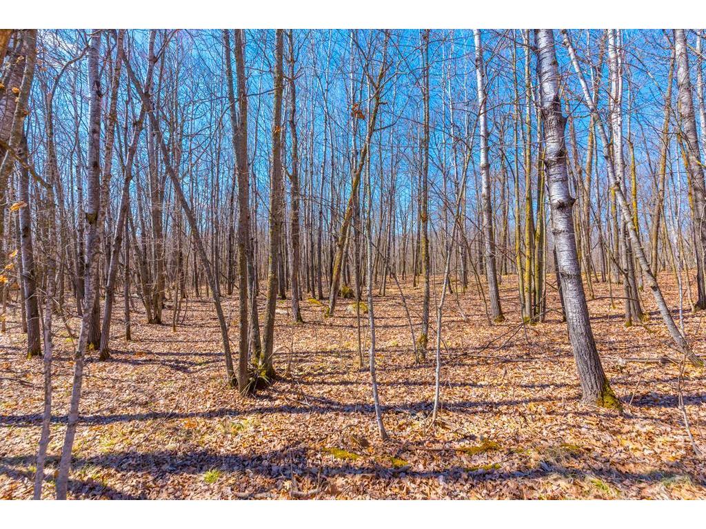 27290 Town Line Lake Road Deerwood MN 56444 7060149 image12