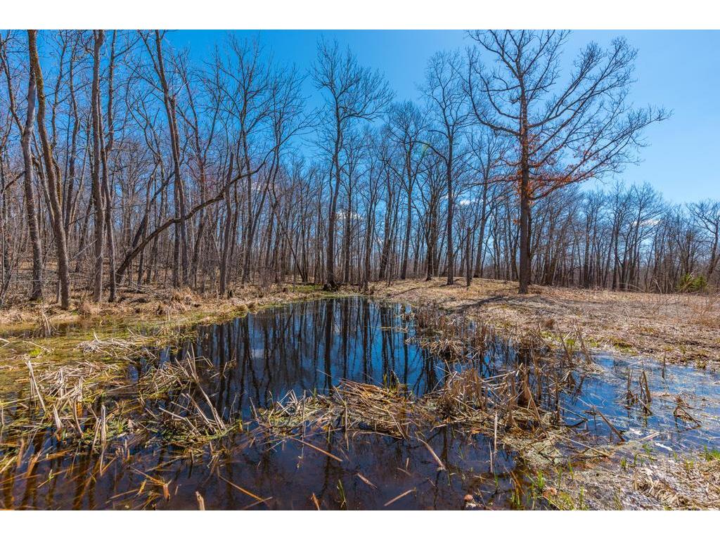 27290 Town Line Lake Road Deerwood MN 56444 7060149 image13
