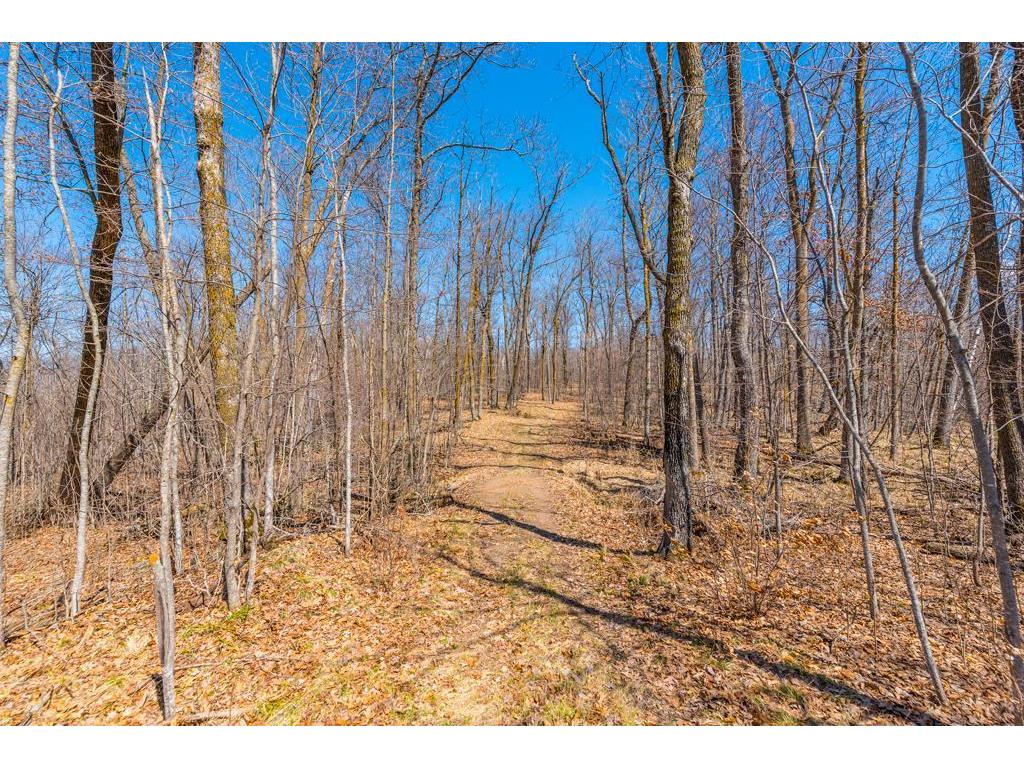 27290 Town Line Lake Road Deerwood MN 56444 7060149 image26