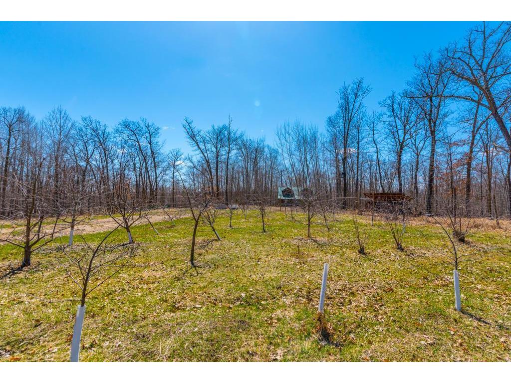 27290 Town Line Lake Road Deerwood MN 56444 7060149 image28