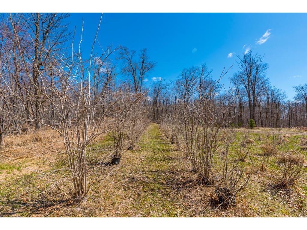 27290 Town Line Lake Road Deerwood MN 56444 7060149 image29