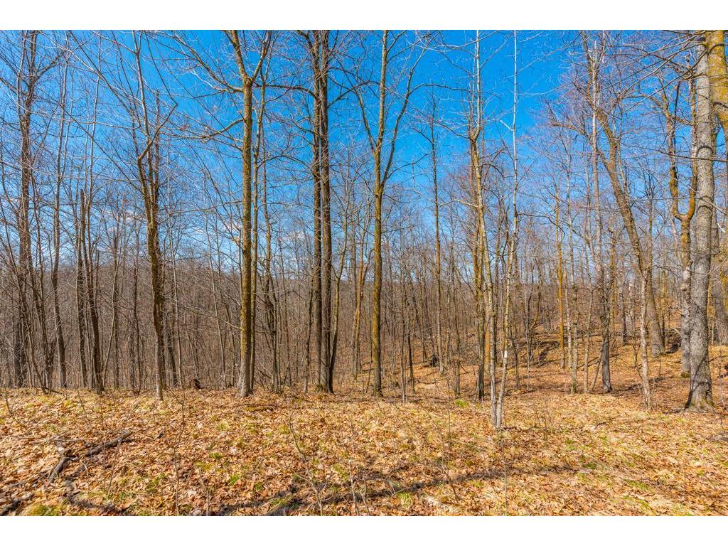 27290 Town Line Lake Road Deerwood MN 56444 7060149 image33