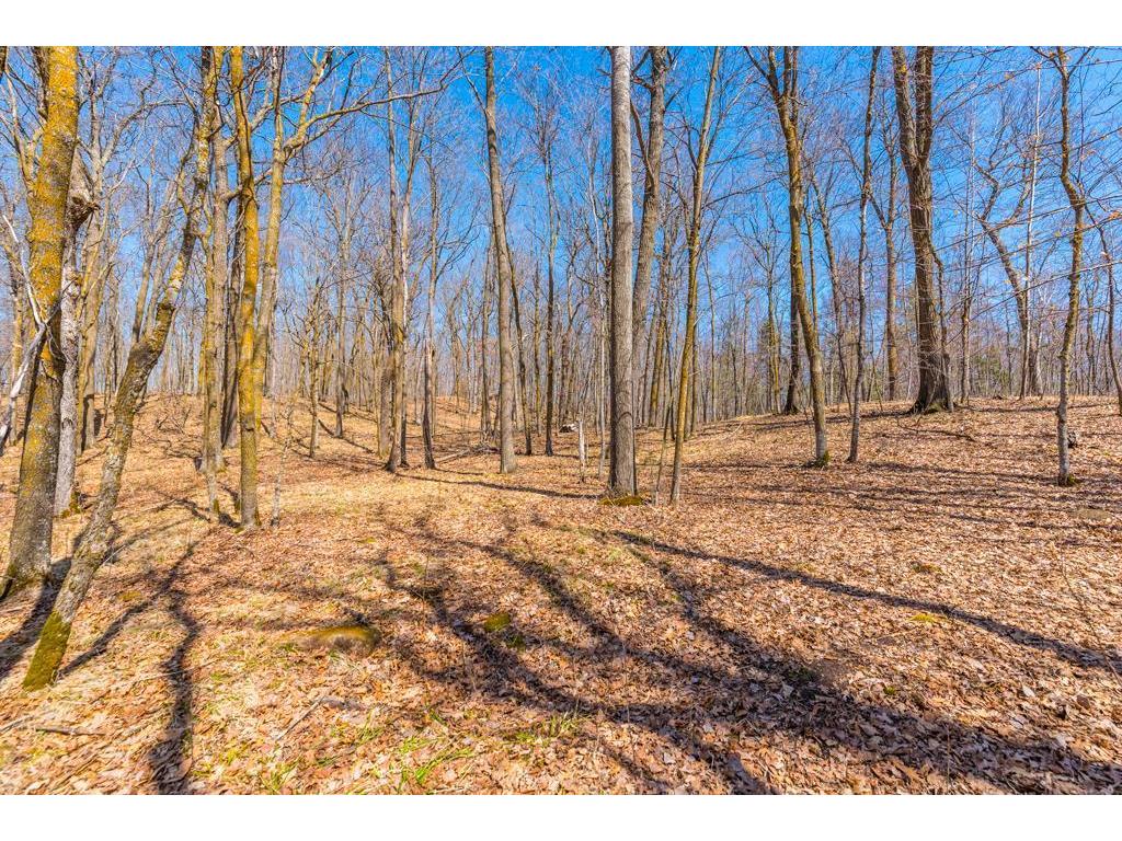 27290 Town Line Lake Road Deerwood MN 56444 7060149 image34