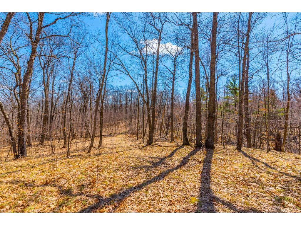 27290 Town Line Lake Road Deerwood MN 56444 7060149 image38