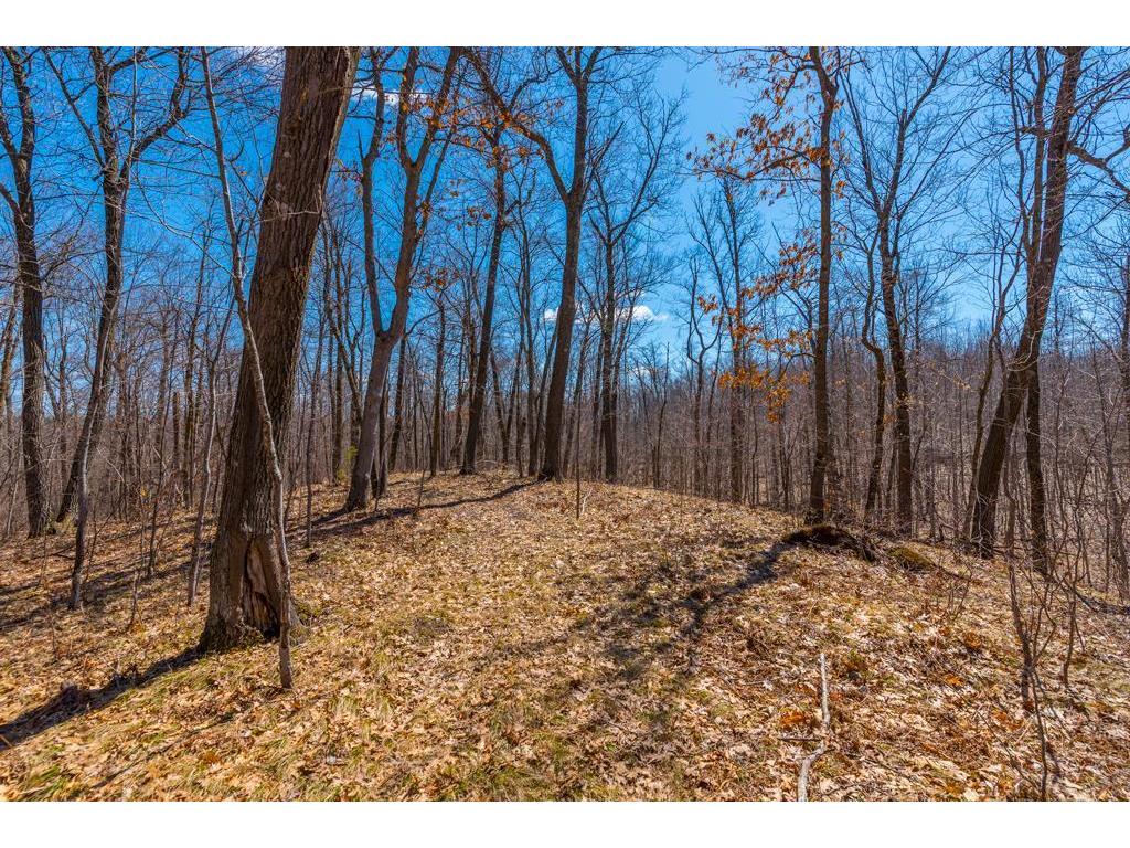 27290 Town Line Lake Road Deerwood MN 56444 7060149 image41