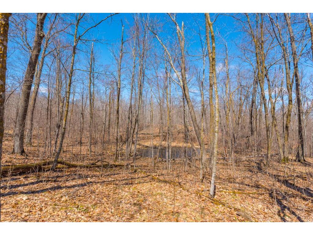 27290 Town Line Lake Road Deerwood MN 56444 7060149 image43