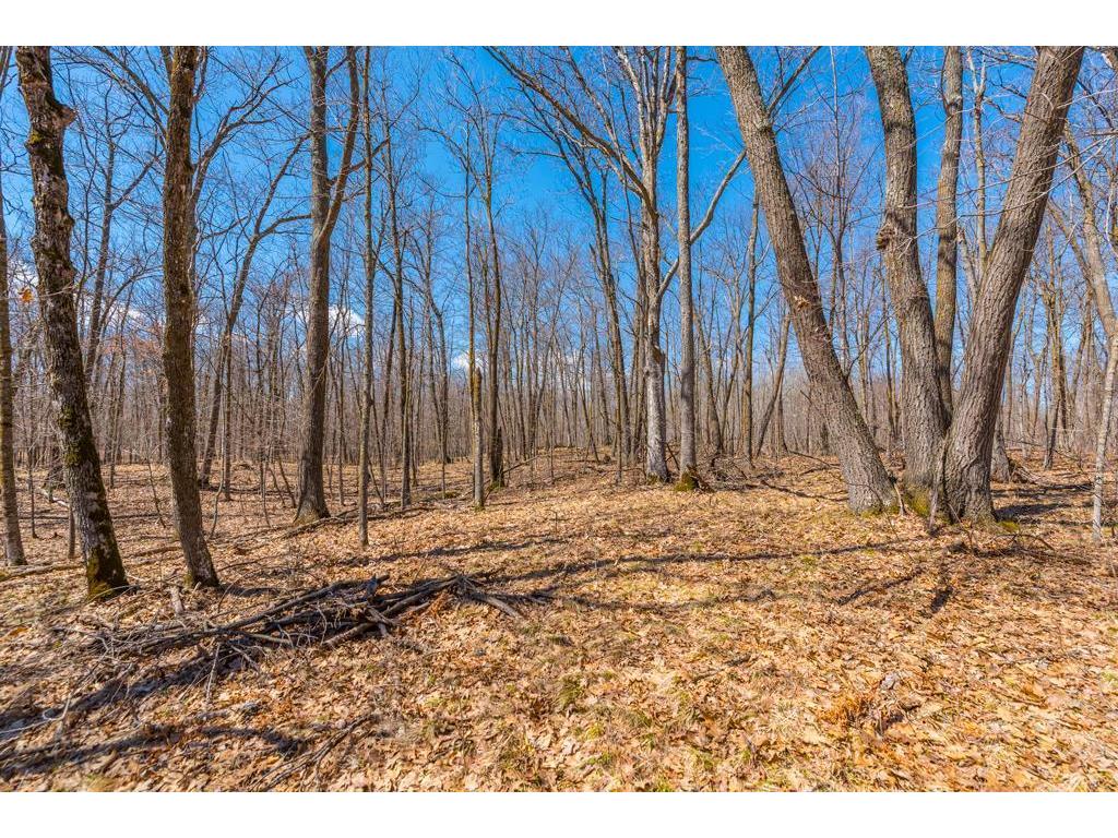 27290 Town Line Lake Road Deerwood MN 56444 7060149 image46