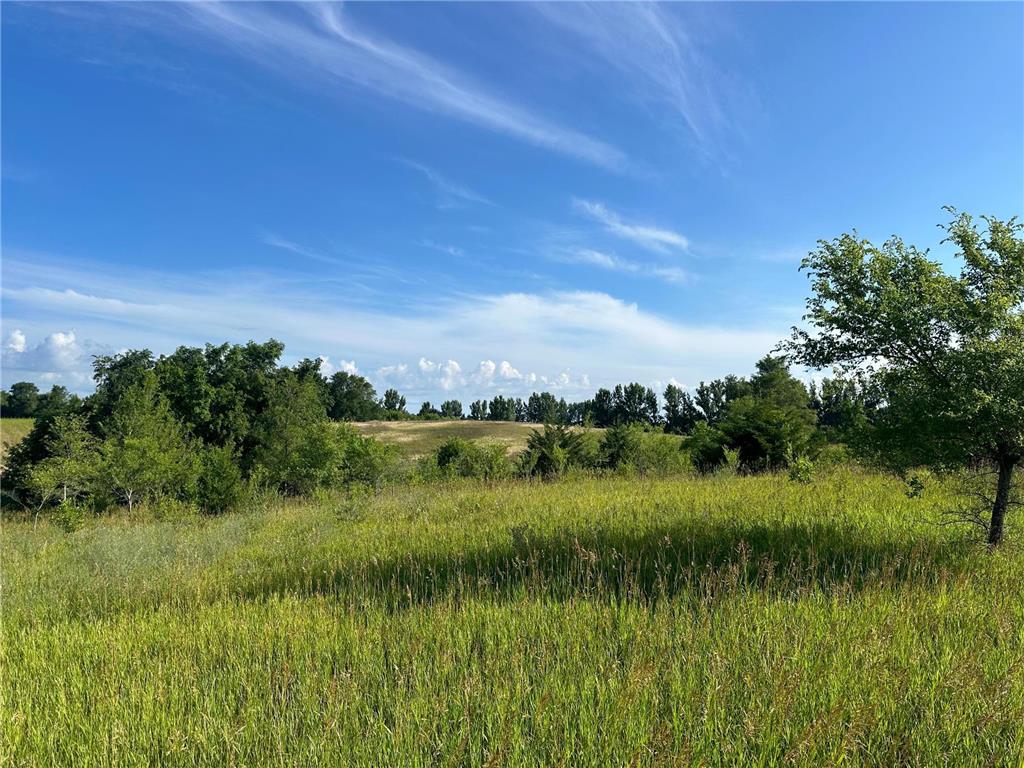 273 273 Dassel Twp MN 55325 6565222 image1