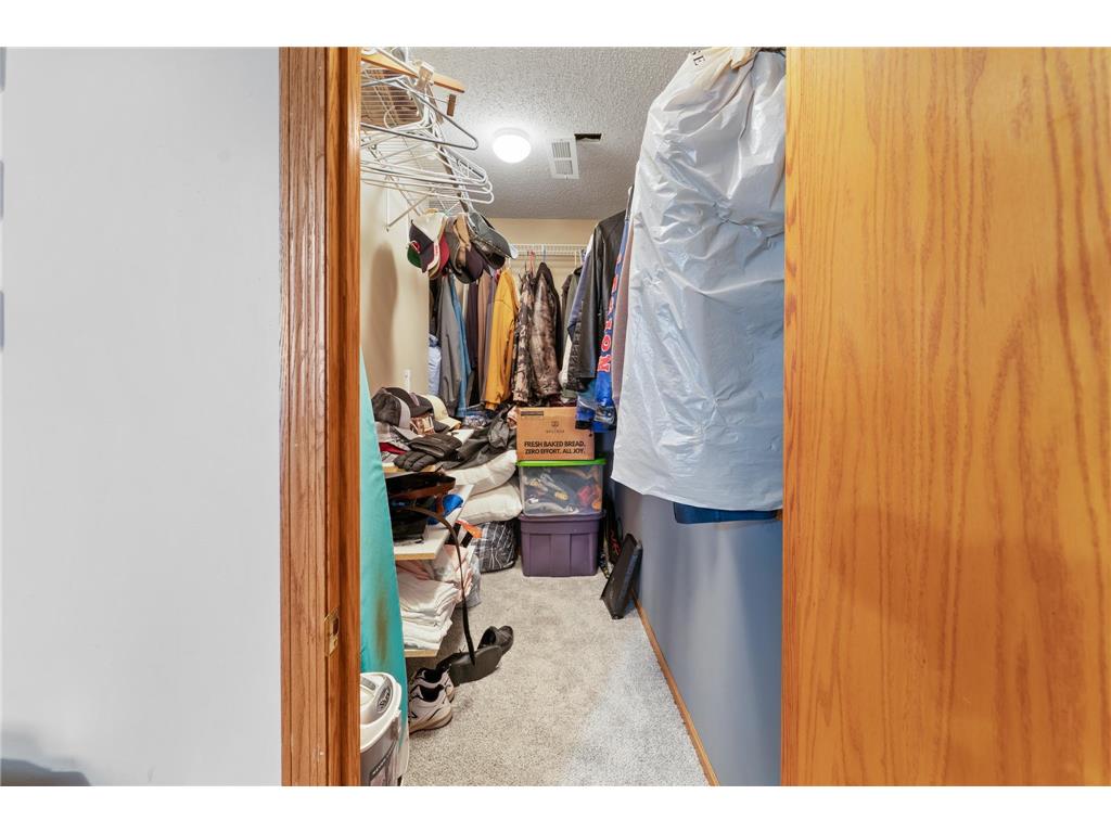 27314 Jody Avenue Chisago City MN 55013 - Green 7031993 image22