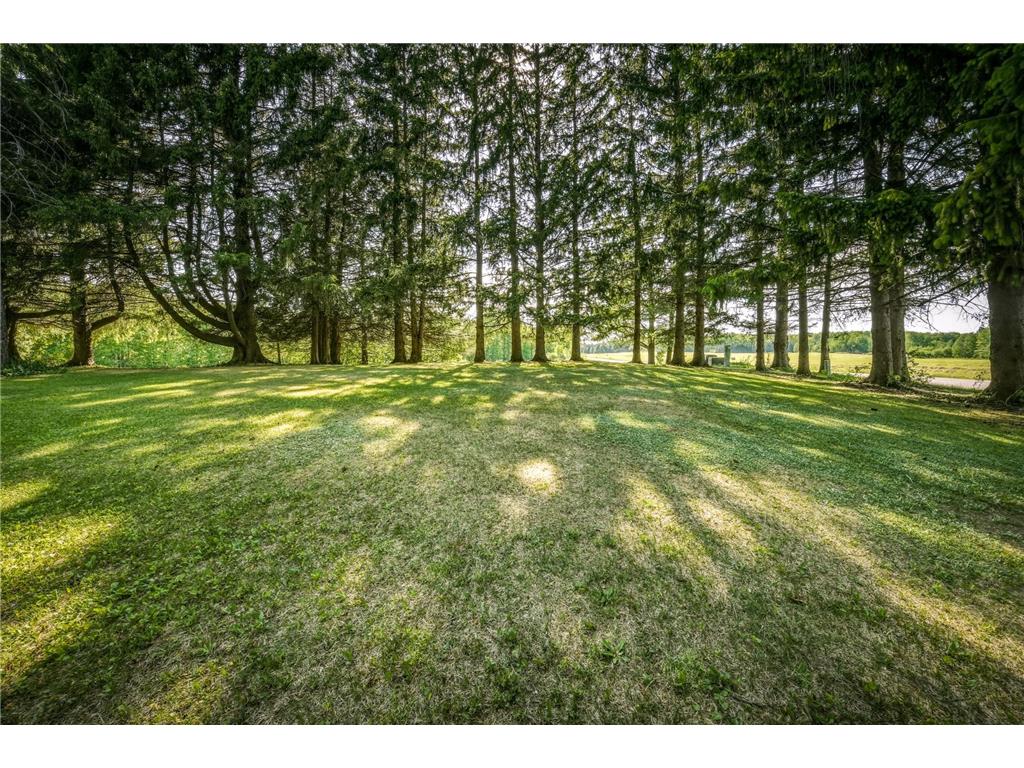 27315 210th Avenue Estella Twp WI 54732 7079739 image48