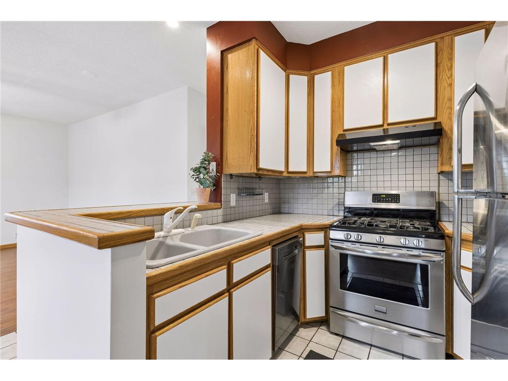 2733 Girard Avenue S #305 Minneapolis MN 55408 7076876 image12