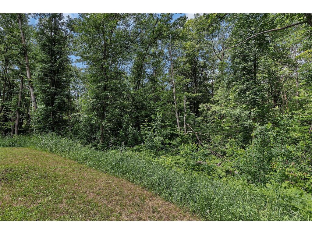 27331 Honey Hill Road Cushing Twp MN 56475 7002097 image44