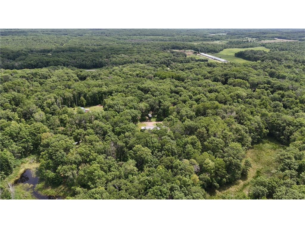 27331 Honey Hill Road Cushing Twp MN 56475 7002097 image48
