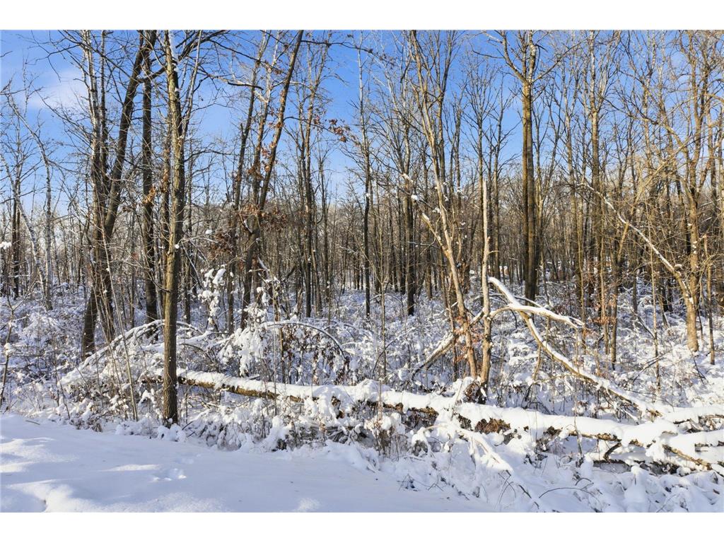 27331 Honey Hill Road Cushing Twp MN 56475 7002097 image52