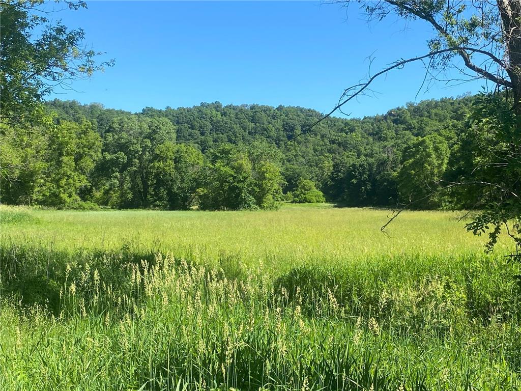 27333 Deep River Road Arendahl Twp MN 55949 7048286 image1