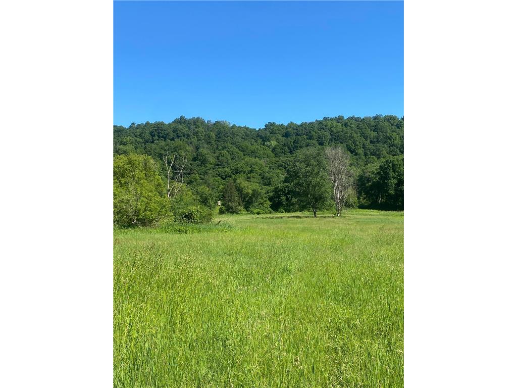 27333 Deep River Road Arendahl Twp MN 55949 7048286 image10