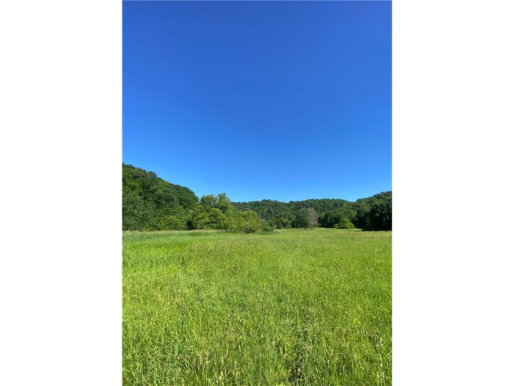 27333 Deep River Road Arendahl Twp MN 55949 7048286 image11