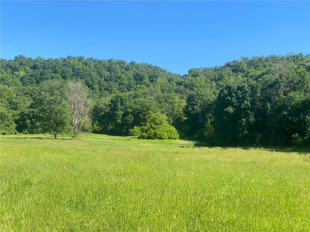 27333 Deep River Road Arendahl Twp MN 55949 7048286 image12