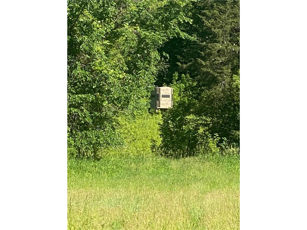 27333 Deep River Road Arendahl Twp MN 55949 7048286 image13