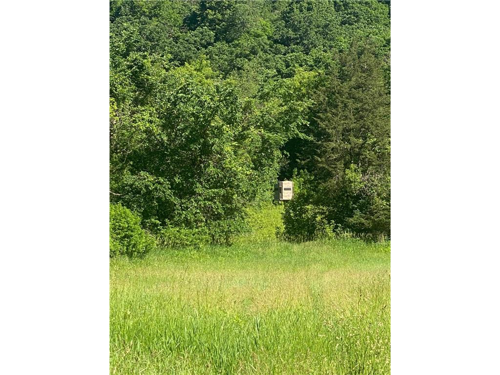 27333 Deep River Road Arendahl Twp MN 55949 7048286 image14