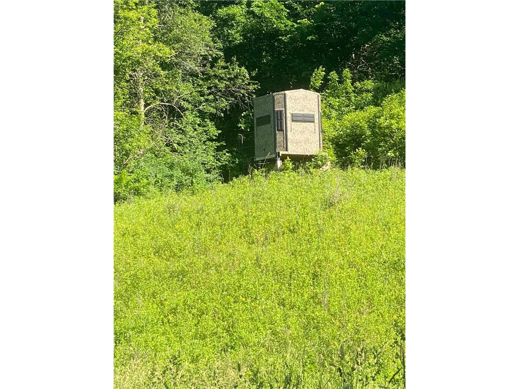 27333 Deep River Road Arendahl Twp MN 55949 7048286 image15