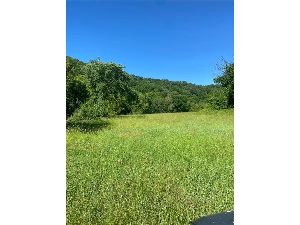 27333 Deep River Road Arendahl Twp MN 55949 7048286 image16