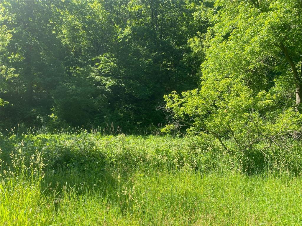 27333 Deep River Road Arendahl Twp MN 55949 7048286 image17