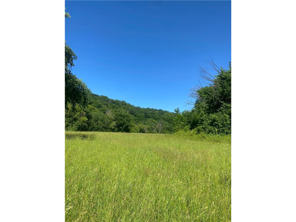 27333 Deep River Road Arendahl Twp MN 55949 7048286 image18