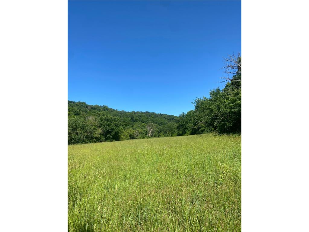 27333 Deep River Road Arendahl Twp MN 55949 7048286 image19