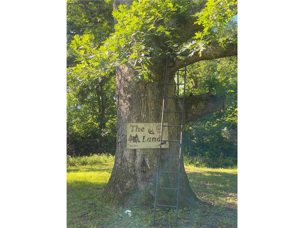 27333 Deep River Road Arendahl Twp MN 55949 7048286 image2