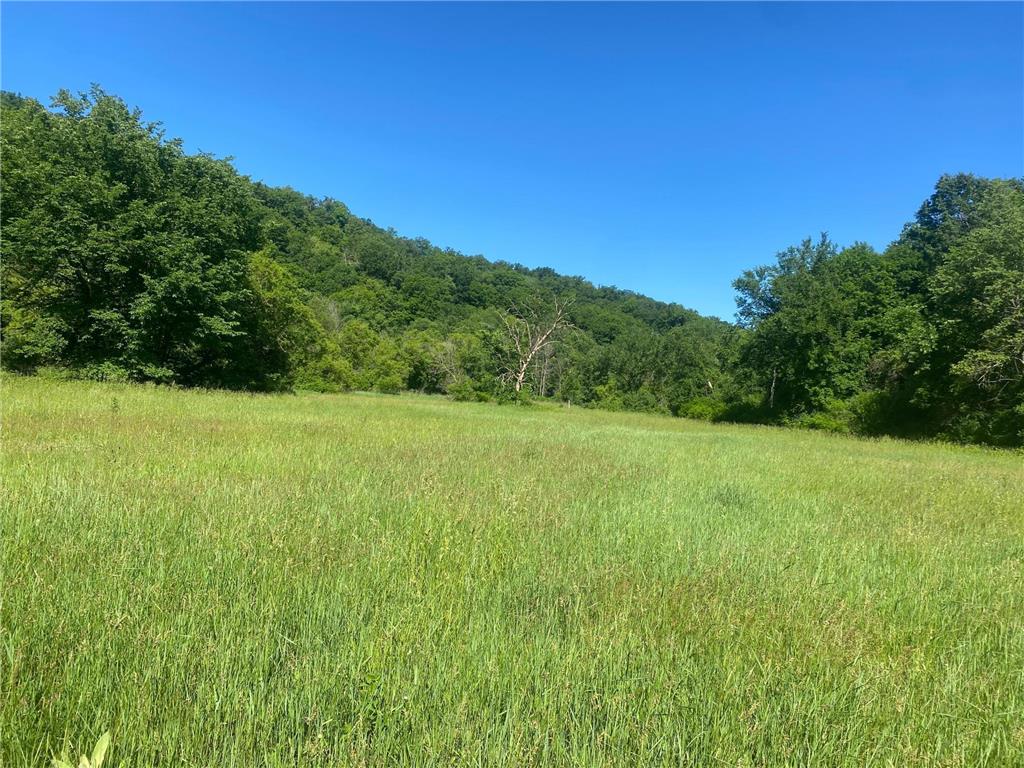 27333 Deep River Road Arendahl Twp MN 55949 7048286 image20