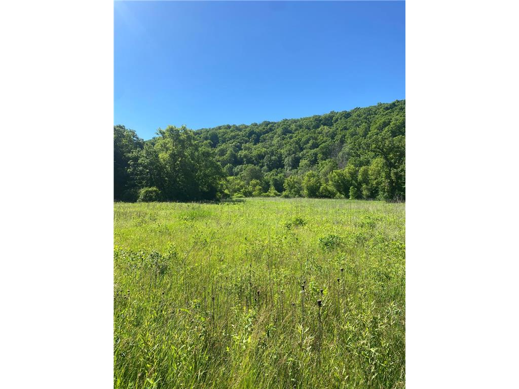 27333 Deep River Road Arendahl Twp MN 55949 7048286 image21