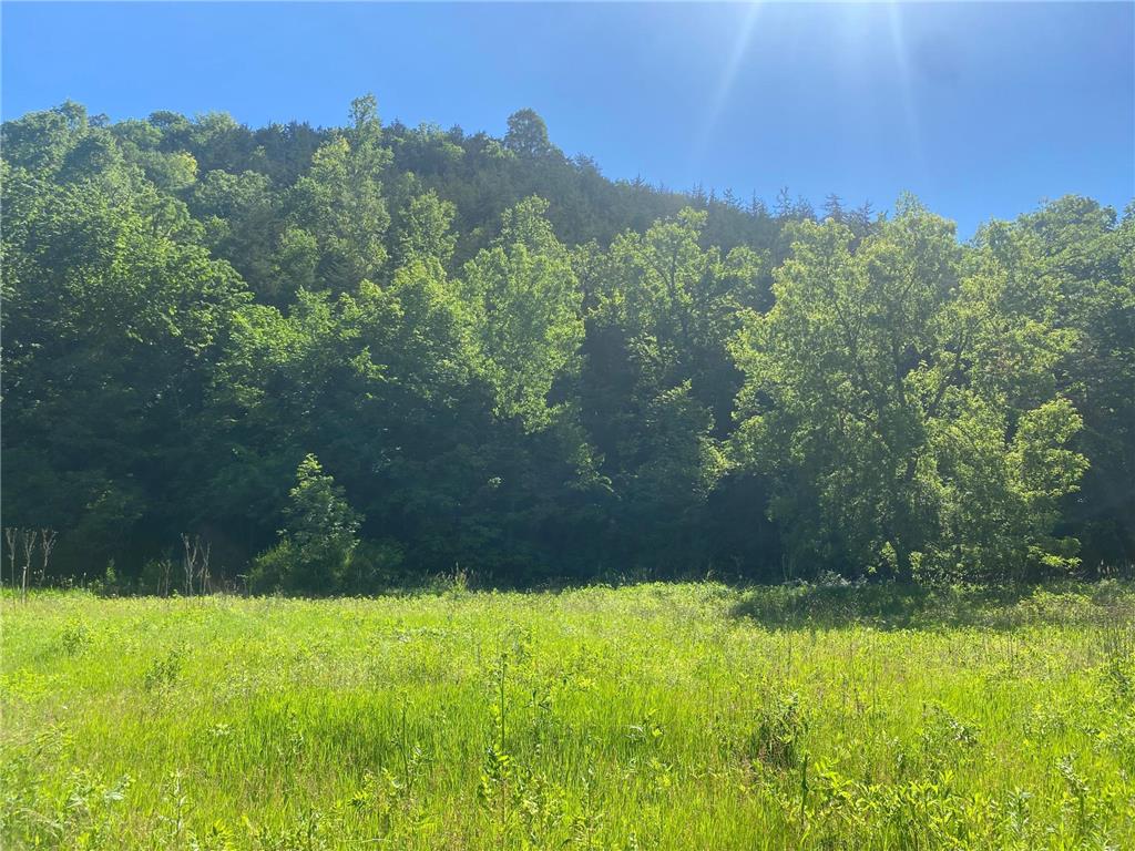 27333 Deep River Road Arendahl Twp MN 55949 7048286 image22