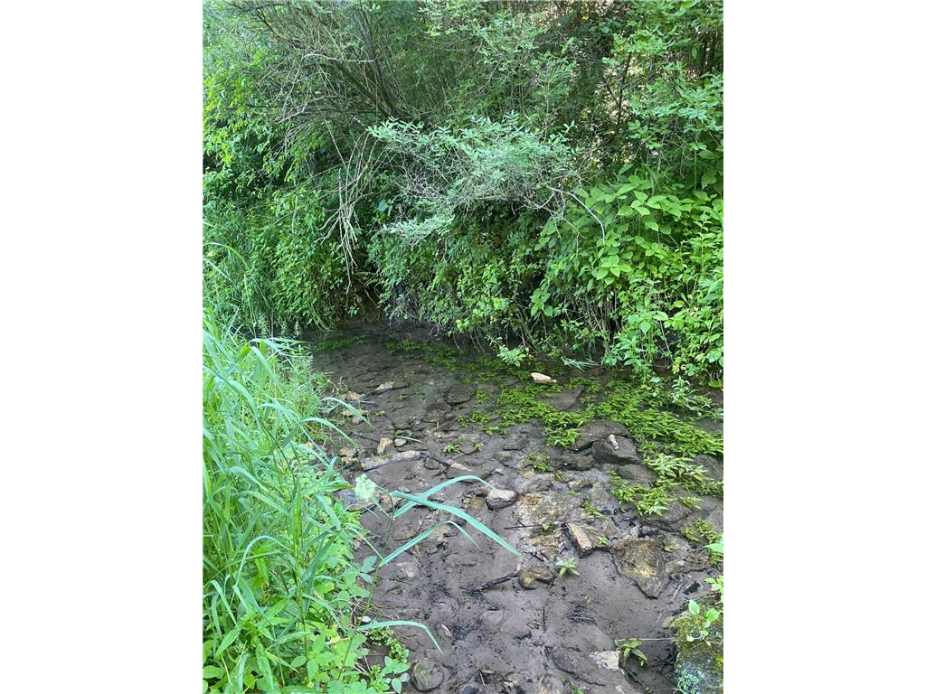 27333 Deep River Road Arendahl Twp MN 55949 7048286 image23