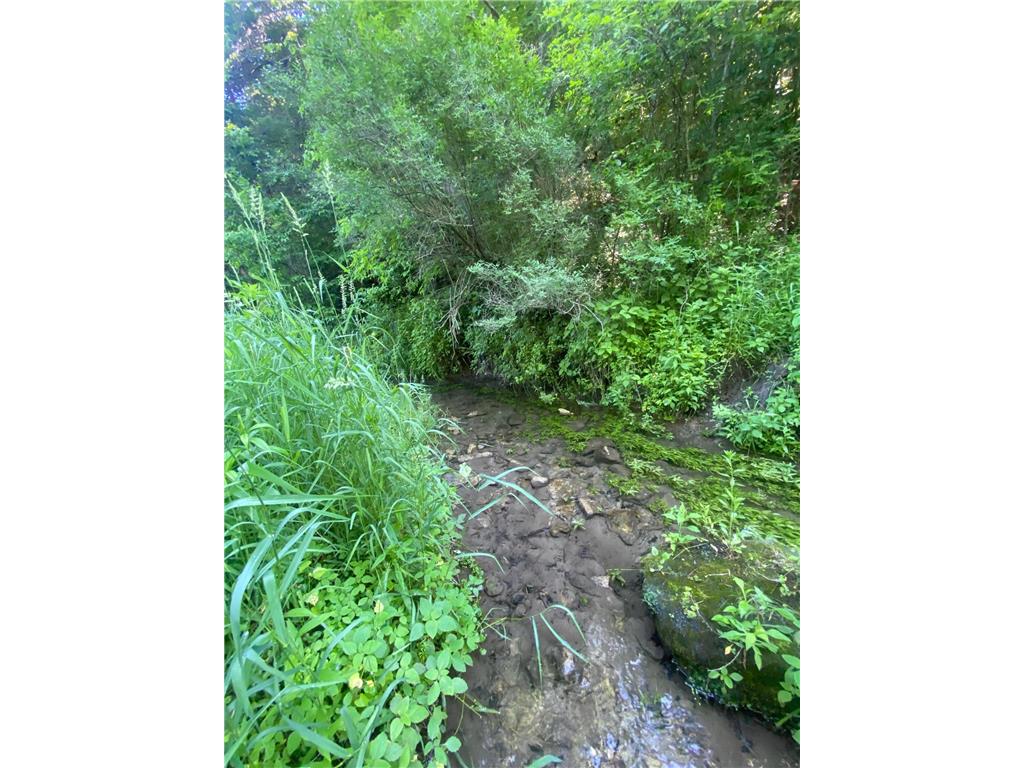 27333 Deep River Road Arendahl Twp MN 55949 7048286 image24