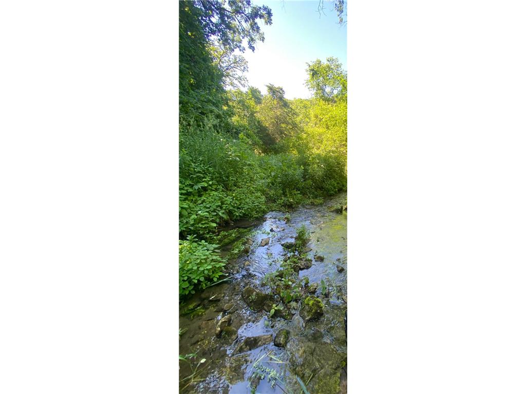 27333 Deep River Road Arendahl Twp MN 55949 7048286 image25