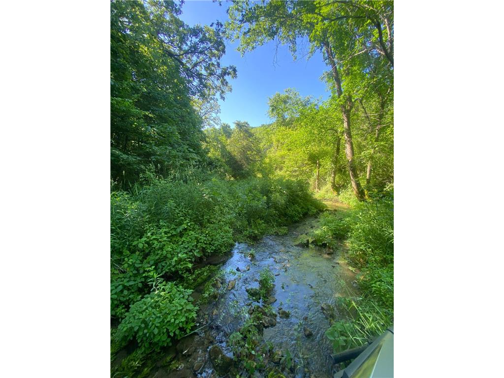 27333 Deep River Road Arendahl Twp MN 55949 7048286 image26