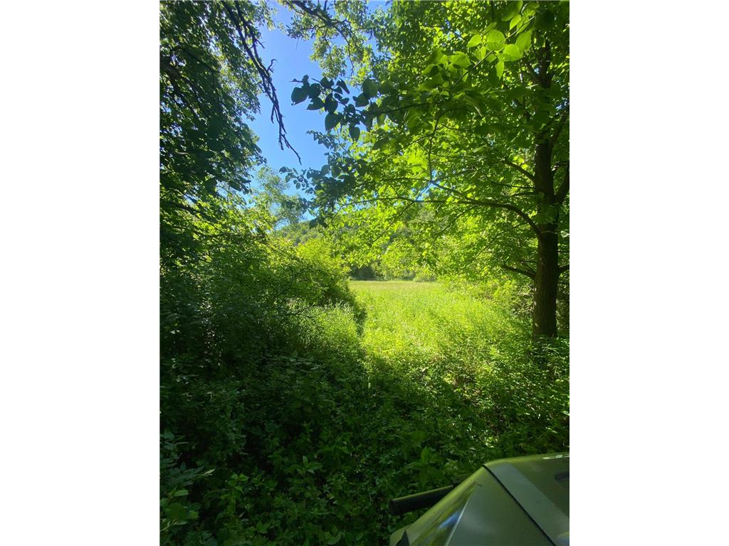 27333 Deep River Road Arendahl Twp MN 55949 7048286 image27