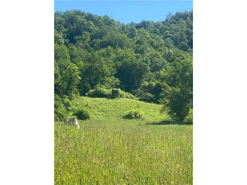 27333 Deep River Road Arendahl Twp MN 55949 7048286 image28