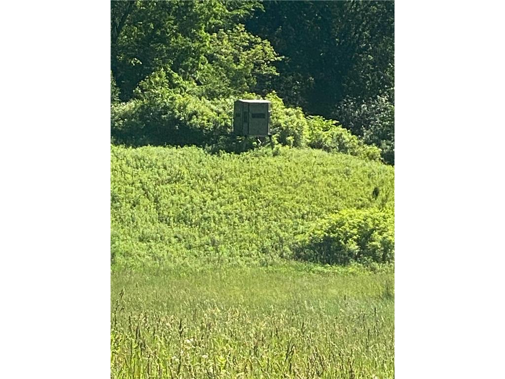 27333 Deep River Road Arendahl Twp MN 55949 7048286 image29