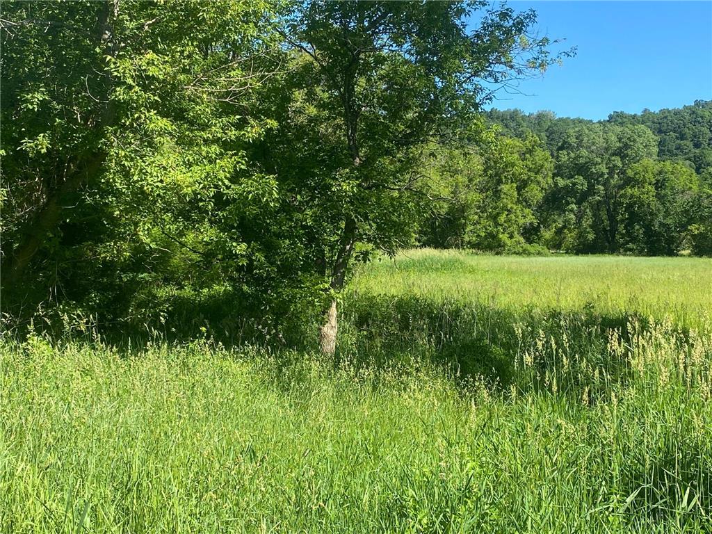 27333 Deep River Road Arendahl Twp MN 55949 7048286 image3