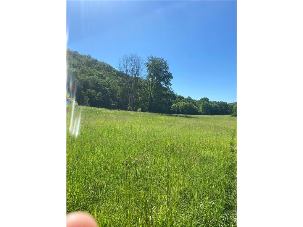 27333 Deep River Road Arendahl Twp MN 55949 7048286 image30