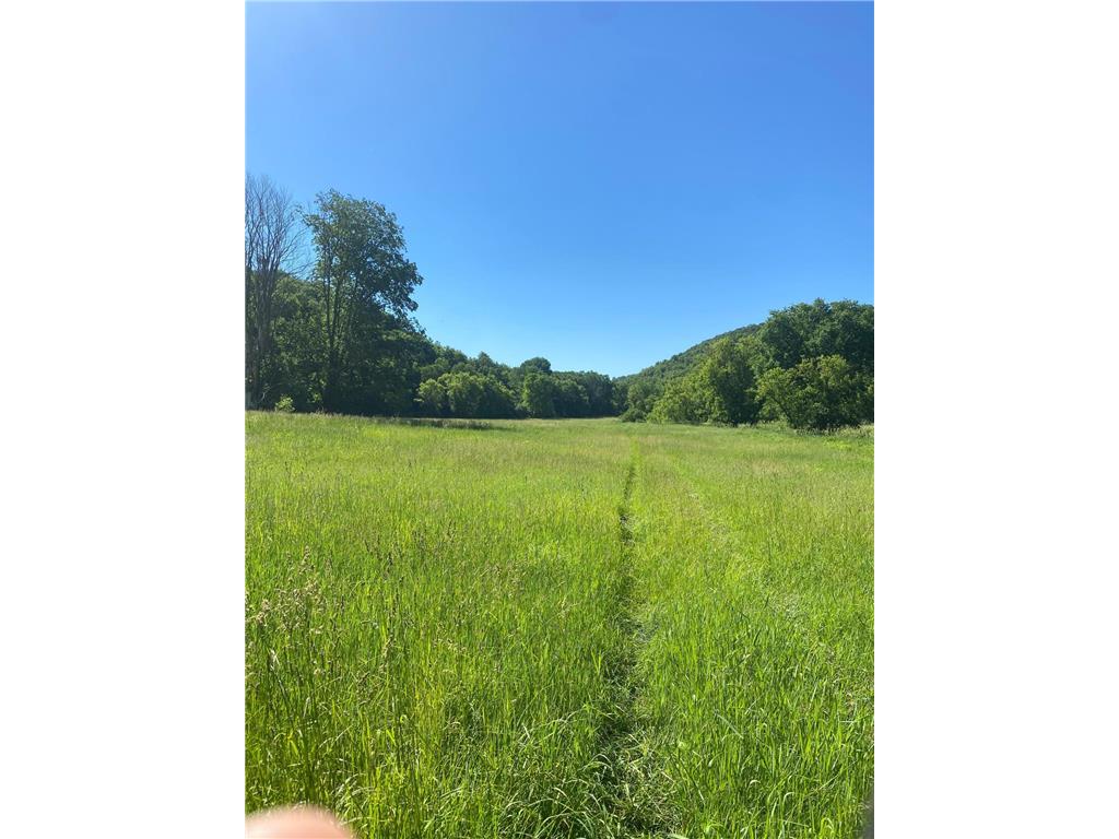 27333 Deep River Road Arendahl Twp MN 55949 7048286 image31