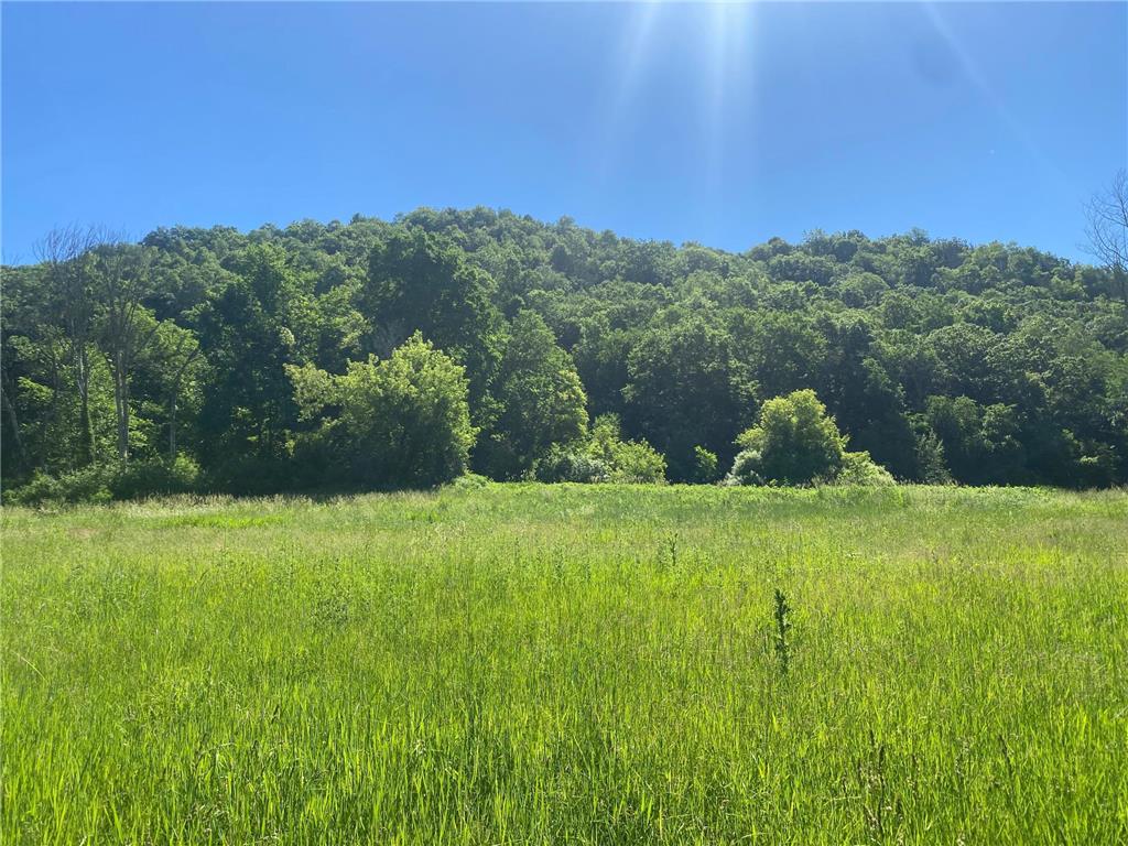 27333 Deep River Road Arendahl Twp MN 55949 7048286 image32