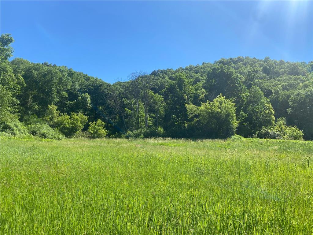 27333 Deep River Road Arendahl Twp MN 55949 7048286 image33