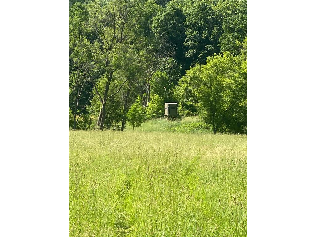 27333 Deep River Road Arendahl Twp MN 55949 7048286 image34