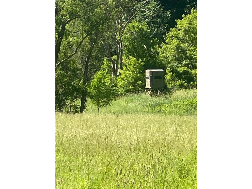 27333 Deep River Road Arendahl Twp MN 55949 7048286 image35