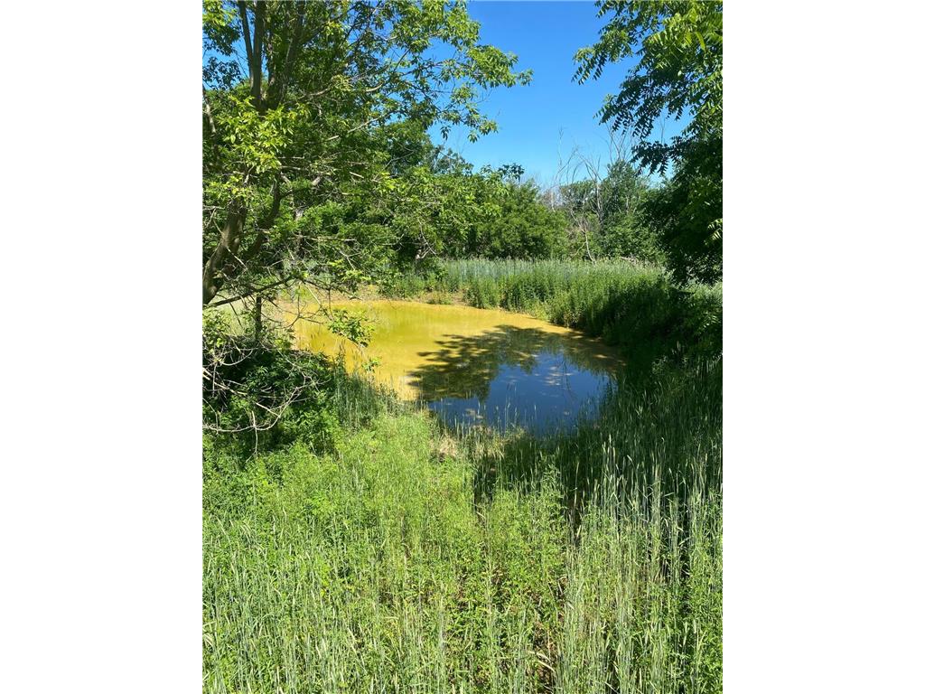 27333 Deep River Road Arendahl Twp MN 55949 7048286 image38